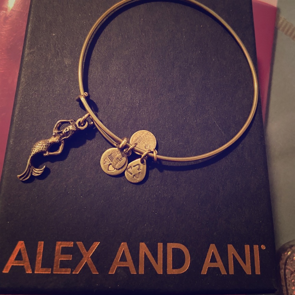 Alex and Ani mermaid charm!